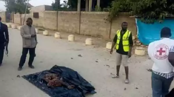 Two Boko Haram Suicide Bombers Blow Themselves to Pieces at a Police Checkpoint in Maiduguri